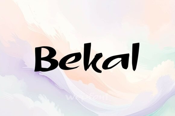 Bekal Font: Modern Script Typography for Web Design