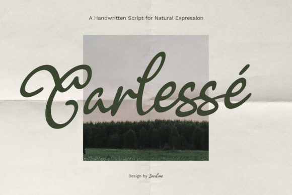 Carlessé Font Review for Elegant Web Design