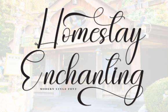 Homestay Enchanting Font: A Web Designer’s Layout Test