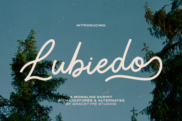Lubiedo Font Review: Elegant Script for Web Design
