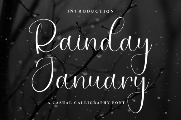 Rainday January Font: Elegant Editorial Typography
